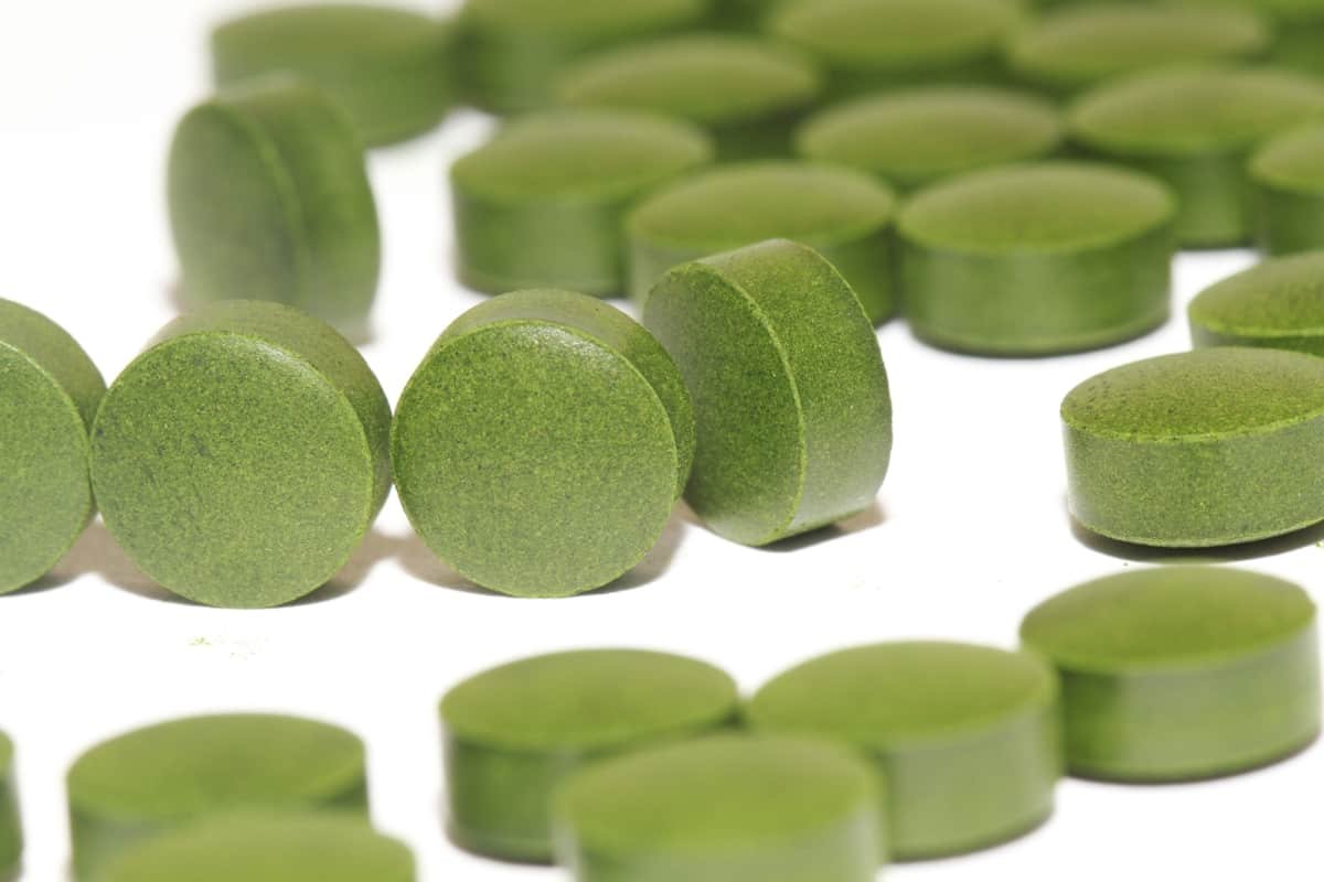 La chlorella, une algue aux vertus remarquables