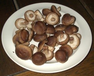 Le Shiitaké