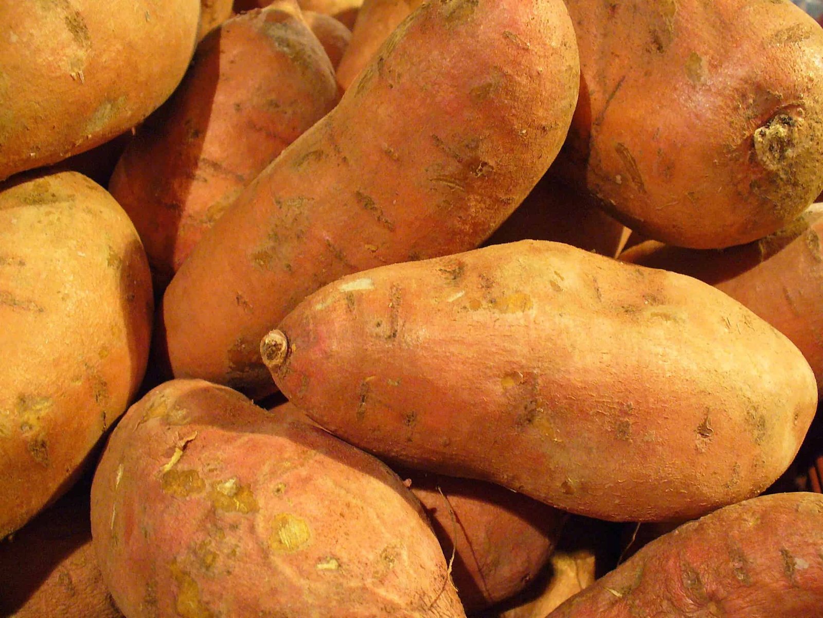 La patate douce : Recettes et bénéfices pour la santé